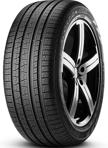 2954519 113W PI SC VERDE AS MGT XL